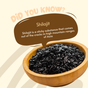 icon Himalayan Shilajit